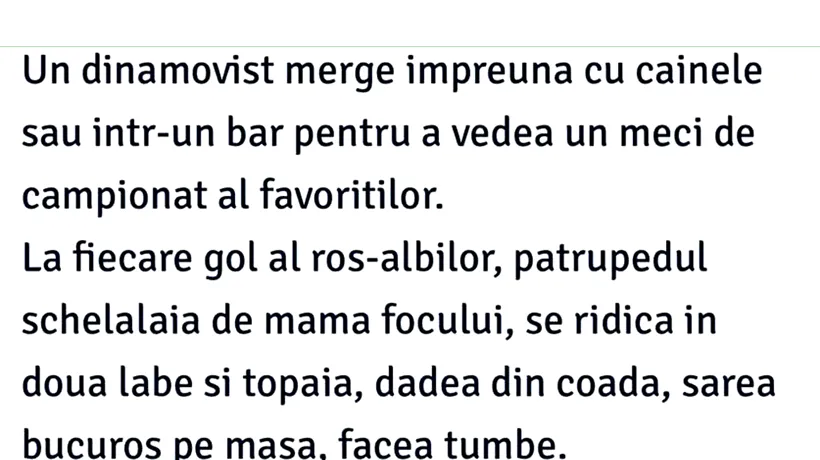 BANCUL ZILEI | Dinamovistul și câinele  POZE