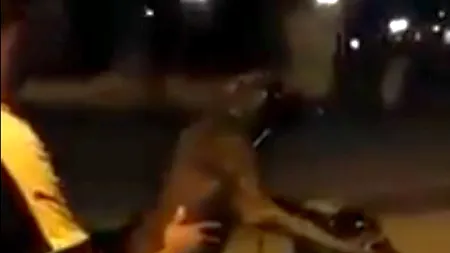 Un bărbat din Vietnam, căutat de poliție după ce și-a lăsat câinele să îi conducă motocicleta