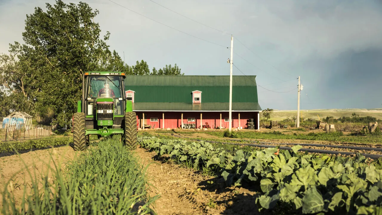 Fermierii, afectați de creșterea prețului la motorină. Vor reduce din lucrările solului, iar producția va fi mai mică