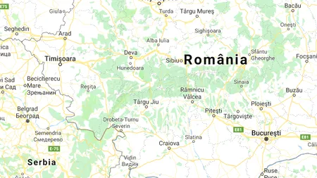 Șapte cetățeni sârbi au fost condamnați la închisoare pentru că s-au alăturat ISIS