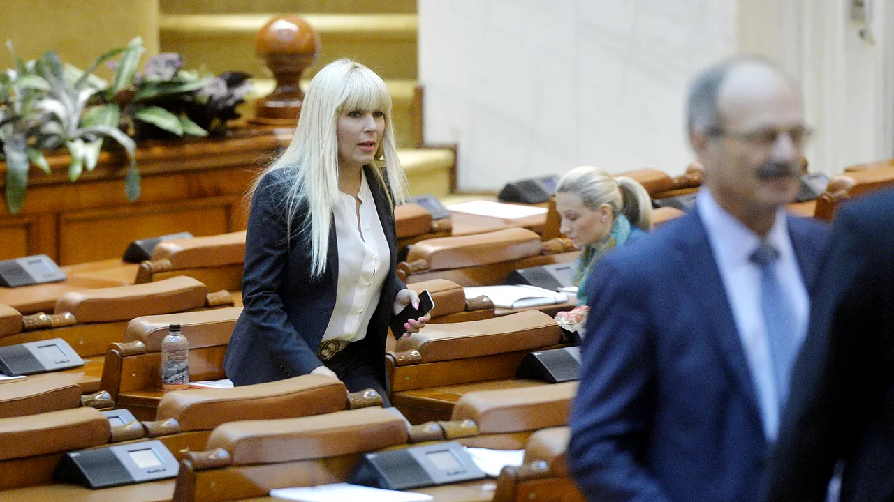 Elena Udrea poate fi urmărită penal: „Este ceva între la revedere și o slujbă de veșnică pomenire