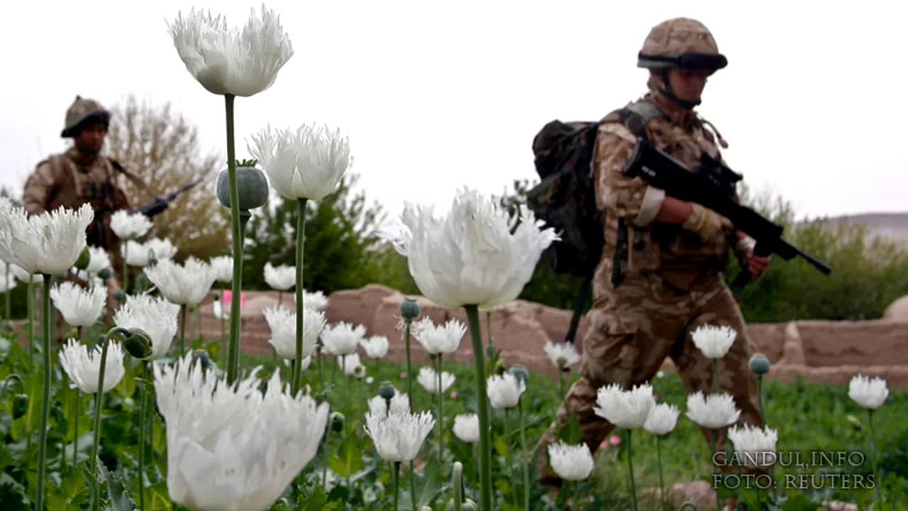 Document confidențial dezvăluit de NBC. Cum justifică Statele Unite atacurile comise împotriva unor cetățeni americani