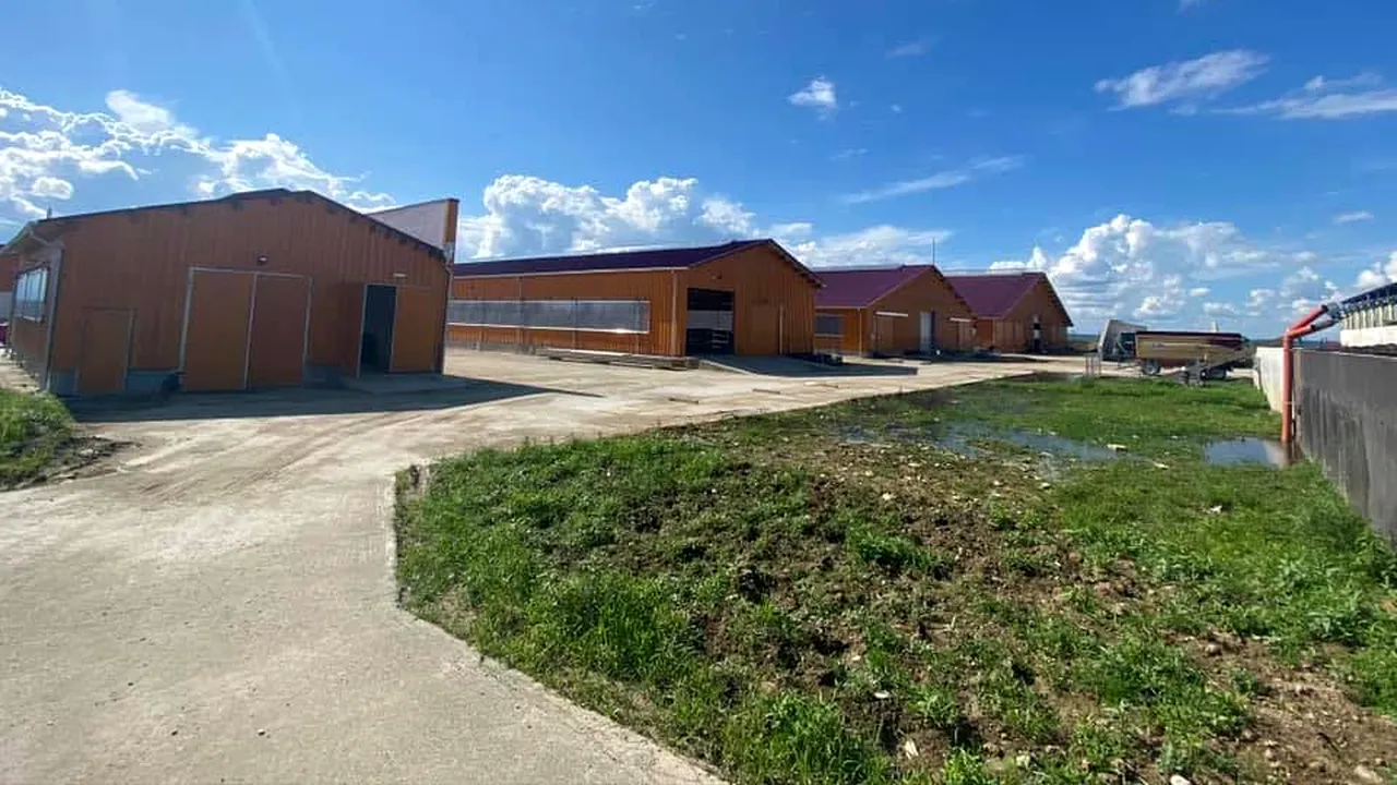 AFIR: Investiţii de un miliard de euro în exploataţii agricole cu bani din PNDR. Cât costă să construiești o fermă de bovine