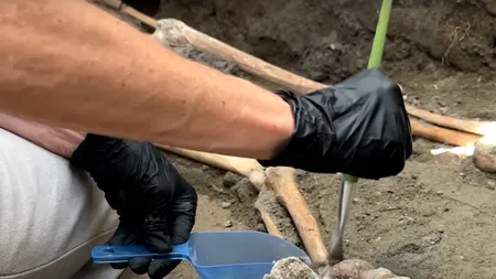 Un cioban din Prahova a descoperit un al doilea MORMÂNT preistoric în zona Urlați. Arheologii spun că are peste 5.000 de ani