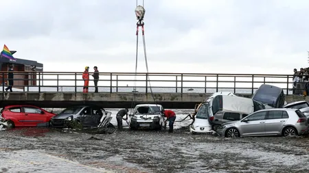 (P) Consiliul Județean ILFOV a început RECENSĂMÂNTUL câinilor cu și fără stăpân