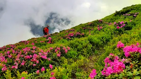 EXCLUSIV. Primii turiști străini de la începutul pandemiei sosesc în România săptămâna viitoare!  Ei vin din Slovenia și au optat pentru o destinație „fără cerere prea mare” în sezonul estival
