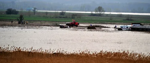 Inundații în Giurgiu: 11 localități și peste 5.000 de hectare de teren au fost afectate