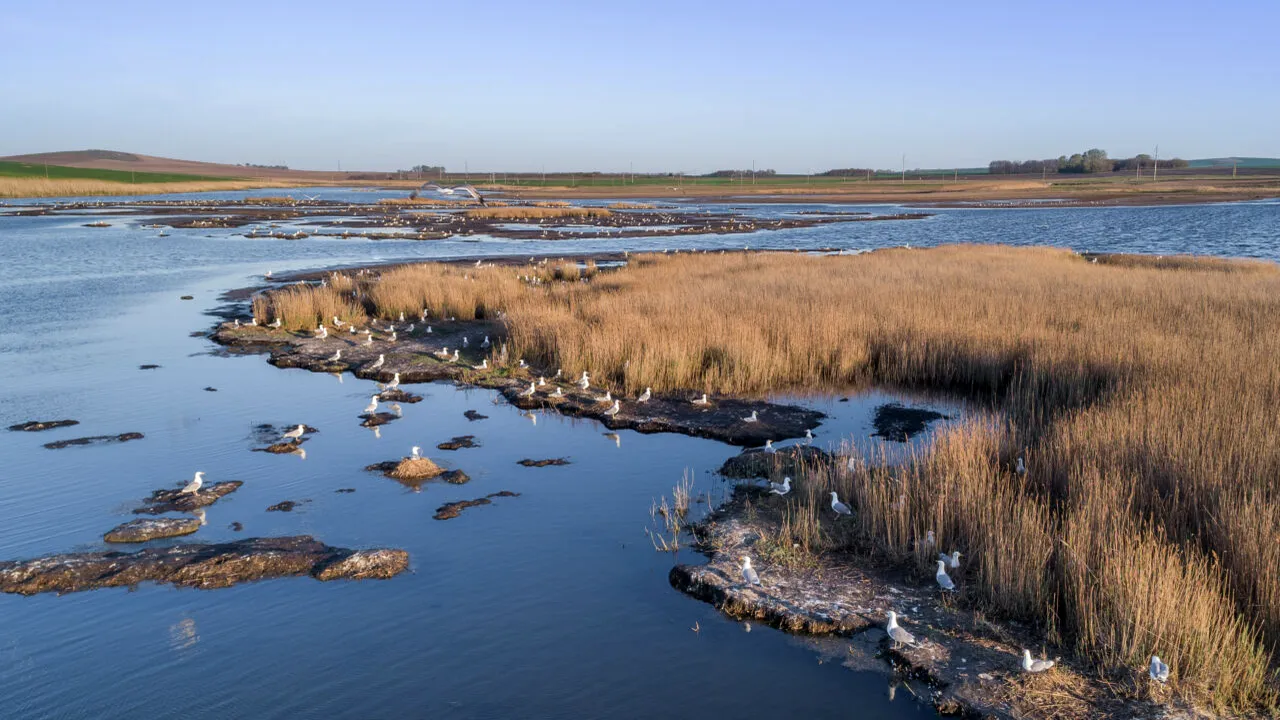 Locuri ascunse în România. Drumul secret de la Marea Neagră la Delta Dunării, știut doar de bătrânii localnici