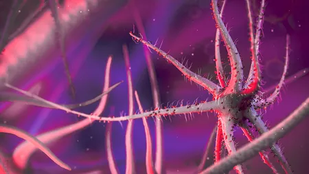 Un copil din Texas a murit după ce s-a infectat cu o amibă care mănâncă creierul