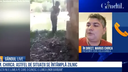 GÂNDUL LIVE. Marius Chirca, Kola Kariola, după ce doi minori au ucis un pui de câine: Imagini de asemenea cruzime se întâmplă zilnic. / Câinii fără stăpân, carne de tun pentru firmele private ale unor hingheri