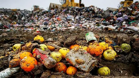 (P) SALUBRIZARE 5 avertizează: Deşeurile alimentare dăunează mediului / Cum să refolosim resturile de mâncare și să aruncăm mai puțin