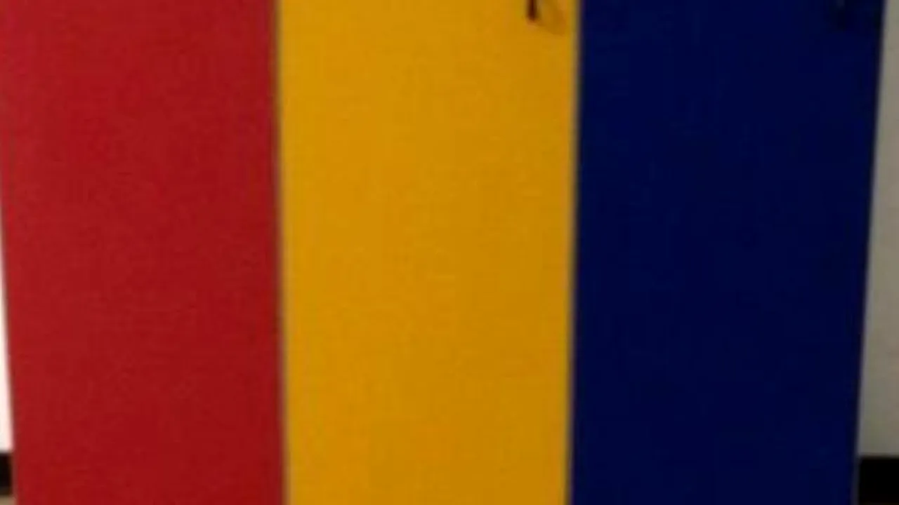 FOTO: Coș de gunoi „românesc