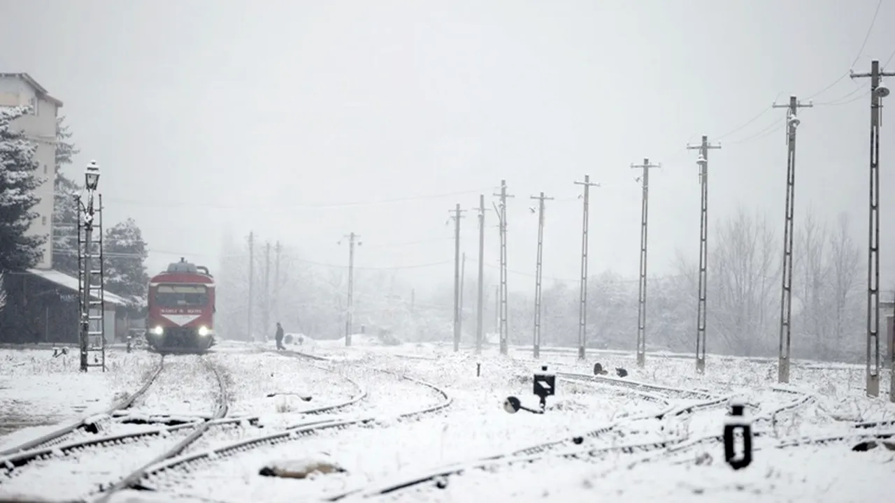 Se afla într-un tren care trecea prin Teleorman când a văzut asta. Intervenția lui a făcut diferența dintre viață și moarte