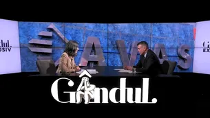 EXCLUSIV VIDEO | Cum mai face bani statul din activele sale. Daniel Geantă, președintele AAAS: „Oltchim este o privatizare de succes”