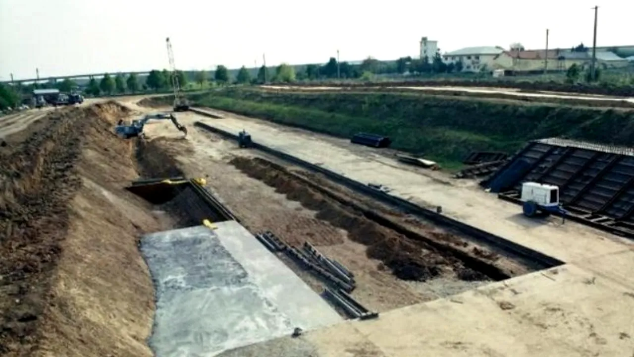 Șova: 