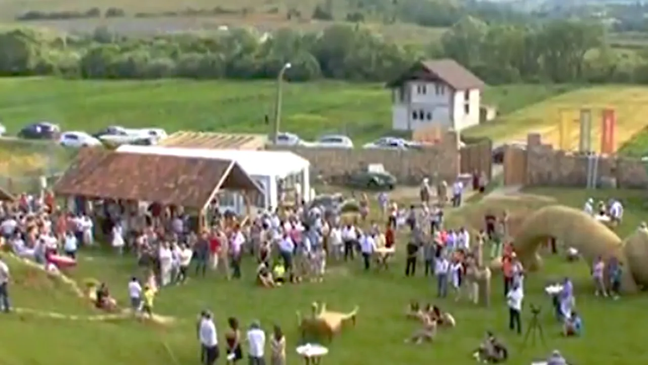 Demers INEDIT. Un parc cu sculpturi din FÂN vinde simbolic parcele de un metru pentru banii necesari DEZVOLTĂRII