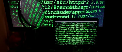 Posibil atac cibernetic la Parcul Natural Lunca Mureșului din Arad 