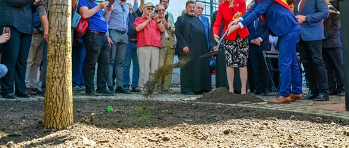 A început să se usuce stejarul de peste 3000 de euro plantat de Majestatea Sa Margareta, Custodele Coroanei Române