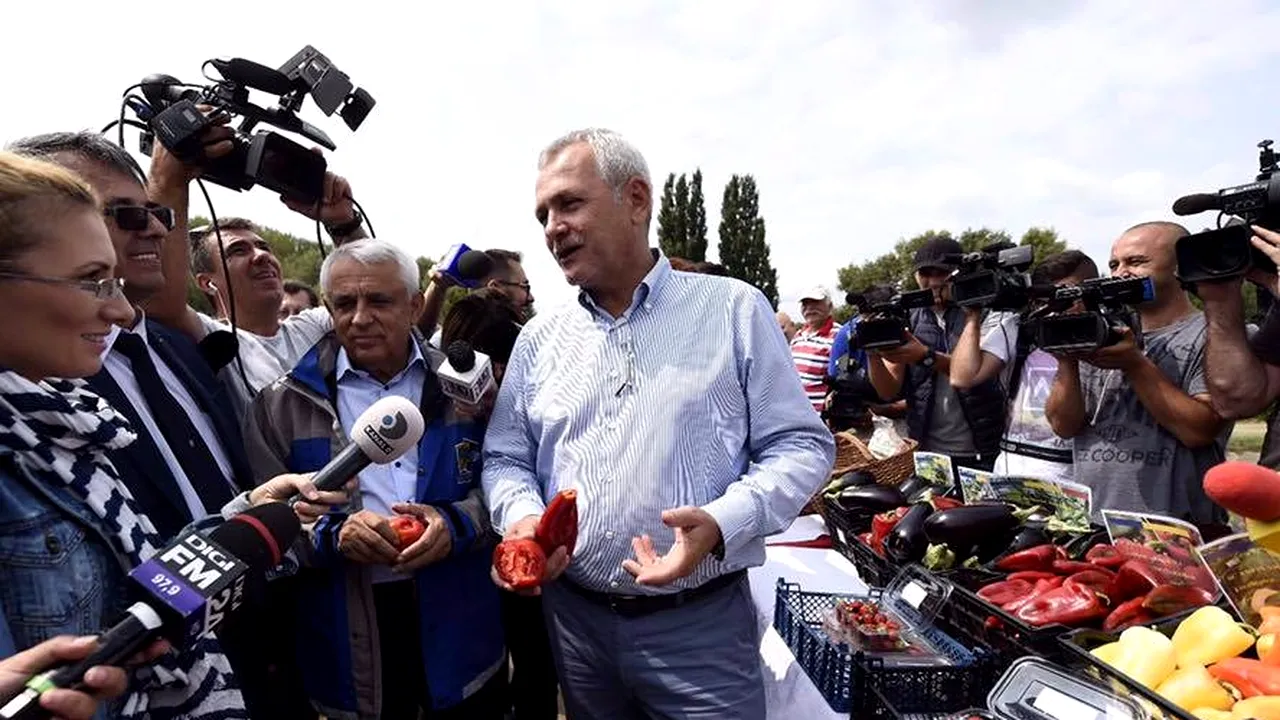 După descinderile la Tel Drum, Dragnea are un singur mesaj pentru procurori: „Pot face percheziții și la porci