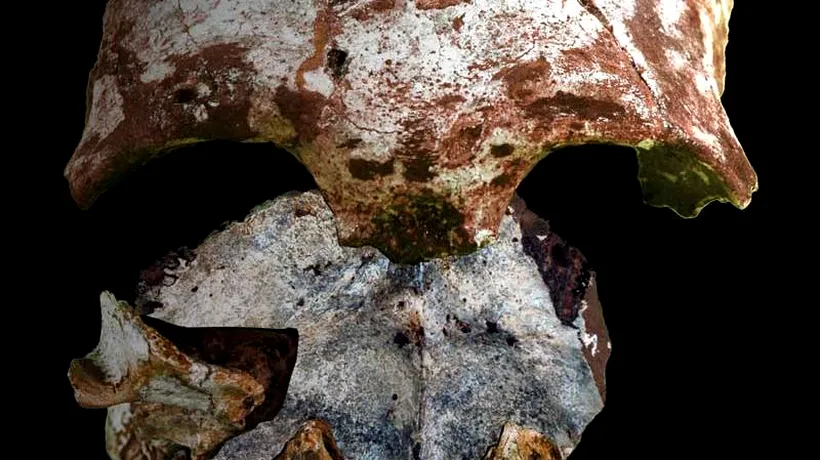 Descoperire în Asia: cele mai vechi oase ale omului modern găsite vreodată pe acest continent