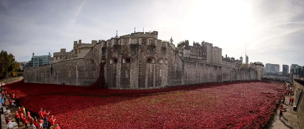 O instalație comemorativă, formată din sute de mii de maci roșii, principala atracție a Londrei