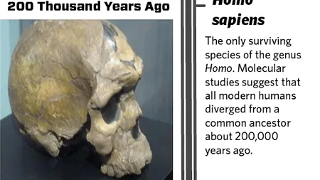 Descoperirea care ar putea schimba tot ce știam despre evoluția umană. Cum arătau primii oameni