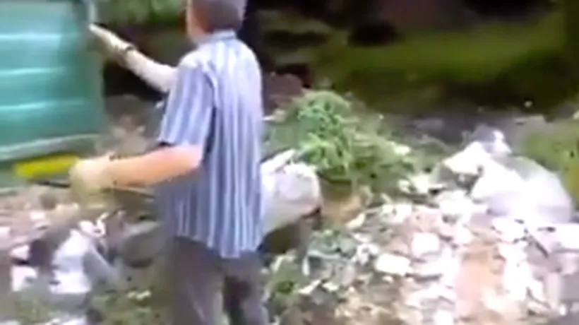 O pădure din Apuseni, groapă de gunoi. Un șofer surprins în timp ce aruncă o remorcă plină de moloz: Rușine să vă fie - VIDEO