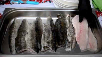 Peștele din Dunăre, periculos pentru sănătate. „Conține metale grele care pot provoca afecțiuni oncologice”