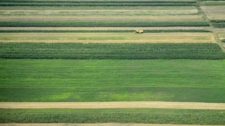 Cât pământ pot cumpăra străinii în România. Guvernul a pregătit o lege specială
