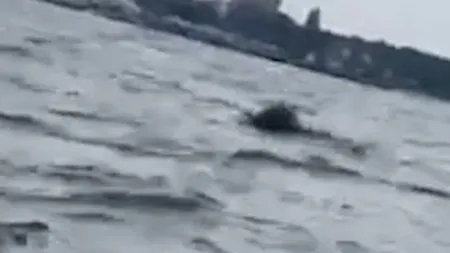 VIDEO | Un obiect plutitor asemănător unei mine marine a alarmat oamenii din stațiunea Jupiter. MApN susține că e vorba de o baliză