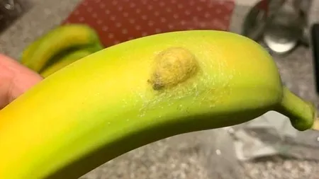 O femeie a rămas șocată când a văzut ce se afla în interiorul unei banane pe care a luat-o de la supermarket