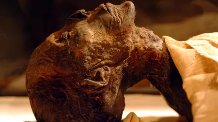 Mormântul unui medic al faraonilor egipteni, vechi de 4.000 de ani, descoperit de arheologi