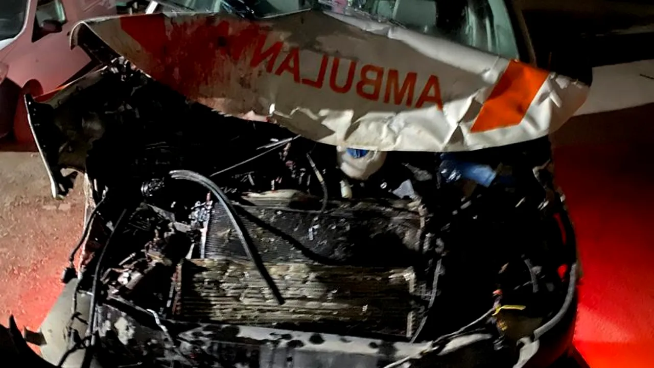 DOSAR PENAL. Un șofer de ambulanță a intrat în două animale și le-a omorât. Bărbatul consumase alcool