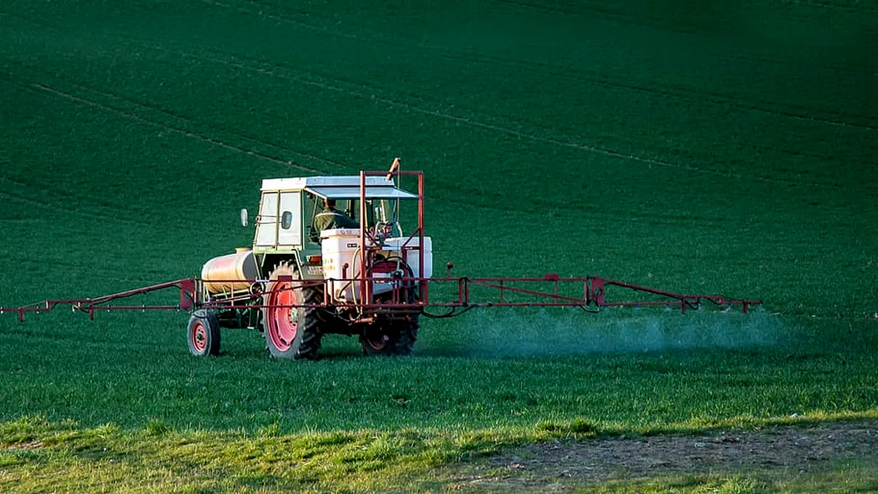 Câte PESTICIDE conțin fructele pe care le consumăm / De ce este cartoful cea mai periculoasă legumă