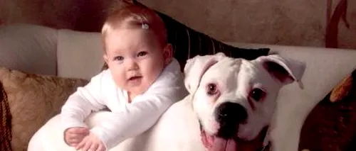 De ce bebelușii ar trebui să fie lăsați să stea în preajma câinilor
