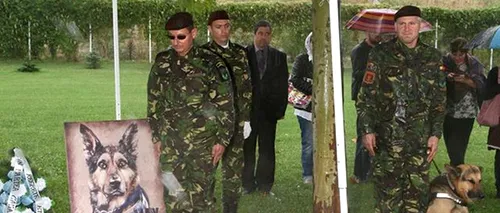 Max, câinele erou al Armatei Române, înmormântat cu onoruri militare. IMAGINI emoționante din timpul ceremoniei