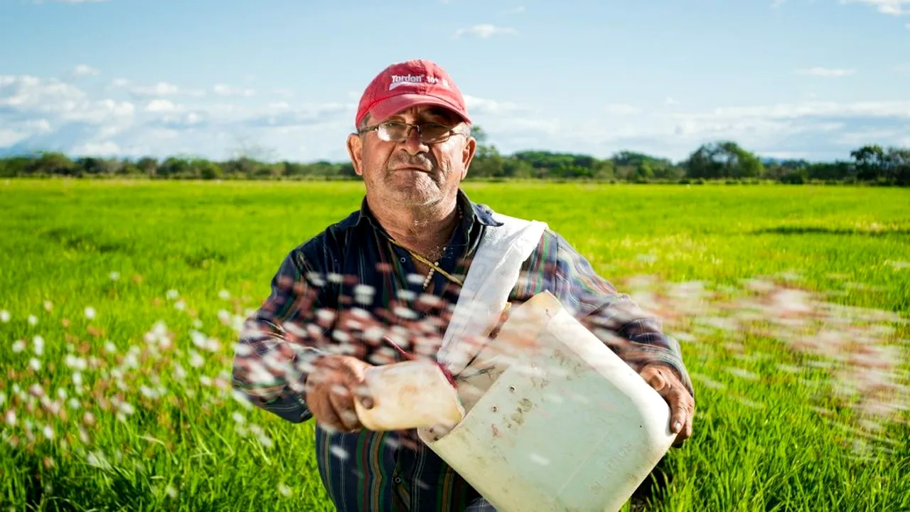 EFECTELE #COVID-19 | Veste extraordinară pentru cei care doresc să muncească în Germania. „S-a ajuns la un acord cu Ministerul de Interne”
