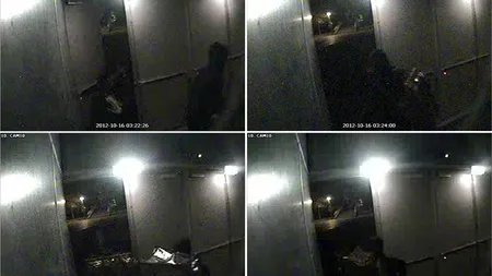 Românca arestată în Olanda a fost iubita lui Radu Dogaru la momentul furtului de tablouri