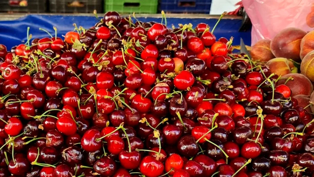 Turiștii români au crezut că nu văd bine! Câți lei costă 1 kg de CIREȘE în Grecia. Sunt mult mai ieftine ca la noi