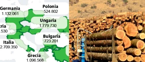 DRUMUL LEMNULUI ROMÂNESC ÎN LUME. Topul statelor în care România a exportat cea mai mare cantitate de lemn în ultimii 11 ani