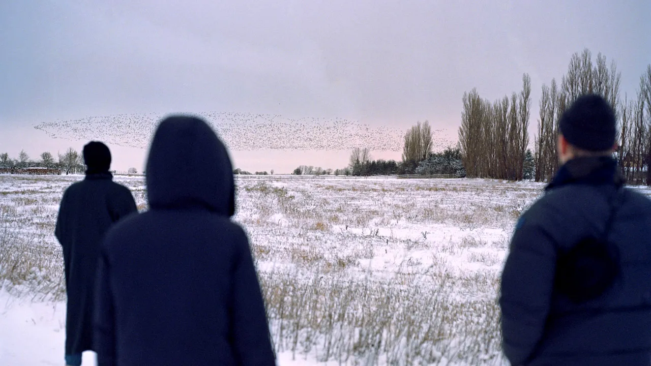 Care sunt cele două „Mici Siberii” din România. Temperaturile pot ajunge în sezonul rece la sub -30 de grade Celsius