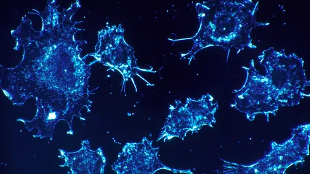 Cercetătorii au creat o metodă de a dirija sistemul imunitar să distrugă tumorile. Cum luptă acesta cu cancerul