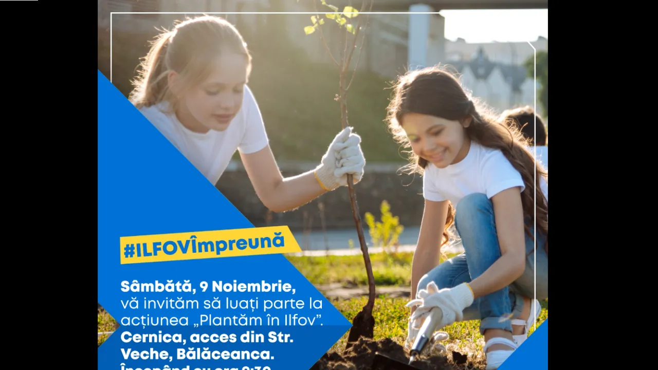 (P) 10 000 de puieți vor fi sădiți prin proiectul ,,Plantează în Ilfov”/2 ha de teren vor fi împădurite cu salcâm, ulm și frasin
