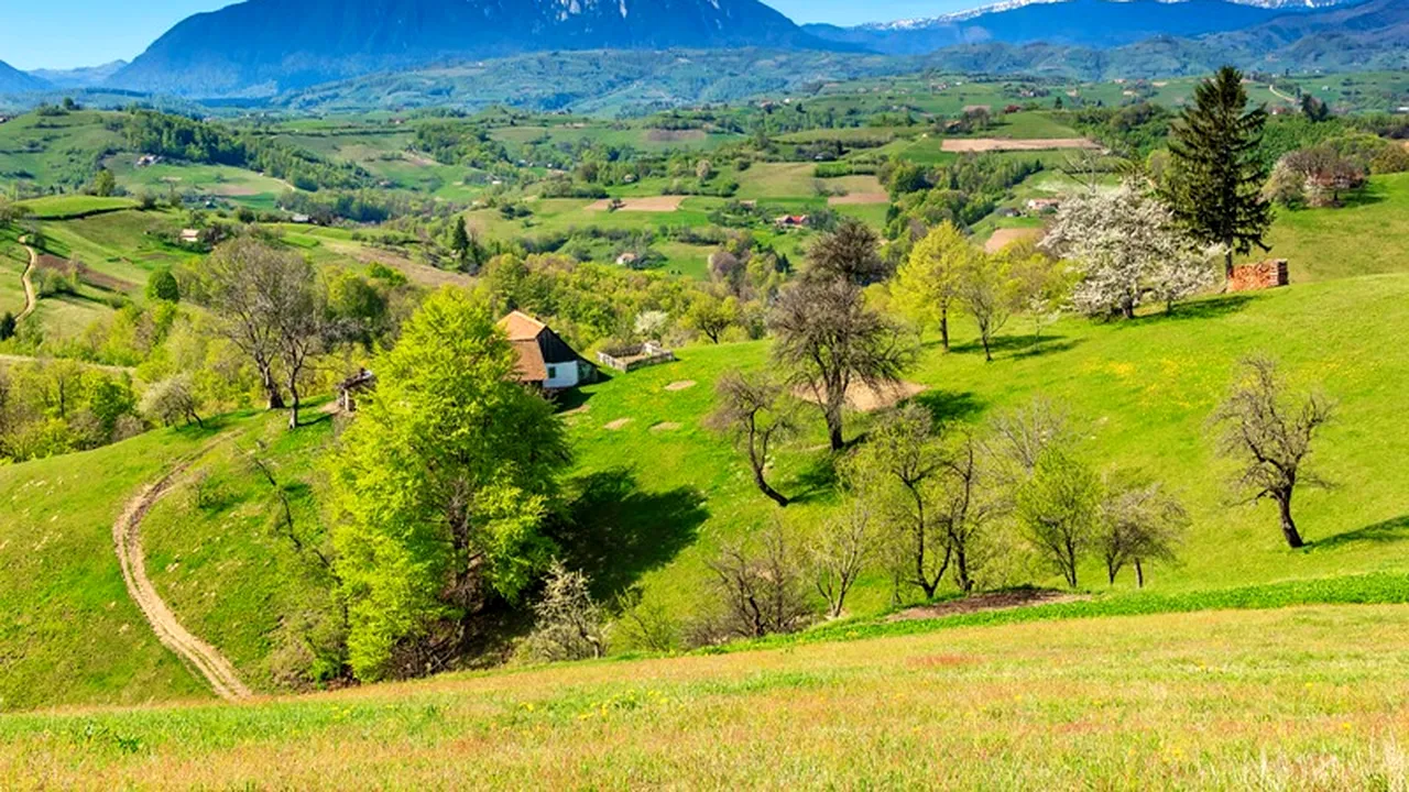 Primele două zone din România certificate ca destinații ecoturistice