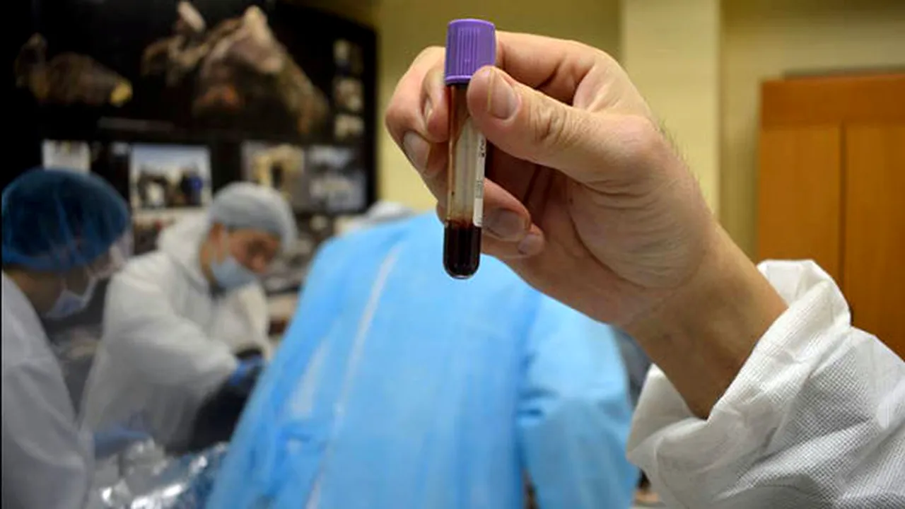 Cercetătorii din Siberia au extras sânge lichid din fosila unui mânz, care are o vechime de 42.000 de ani