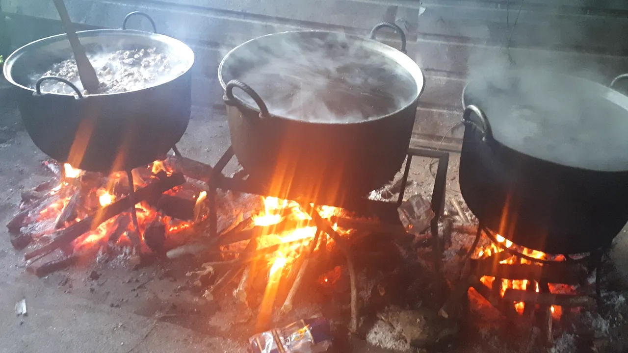 Tocanul de oaie, un preparat încercat și de Halep, a fost înregistrat ca produs tradițional. Câteva secrete legate de rețetă - FOTO