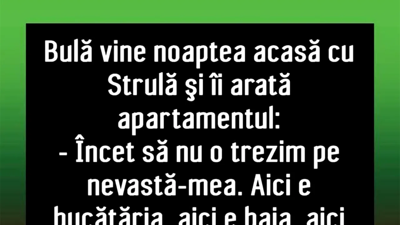 BANC | Bulă, Ștrulă și noul apartament