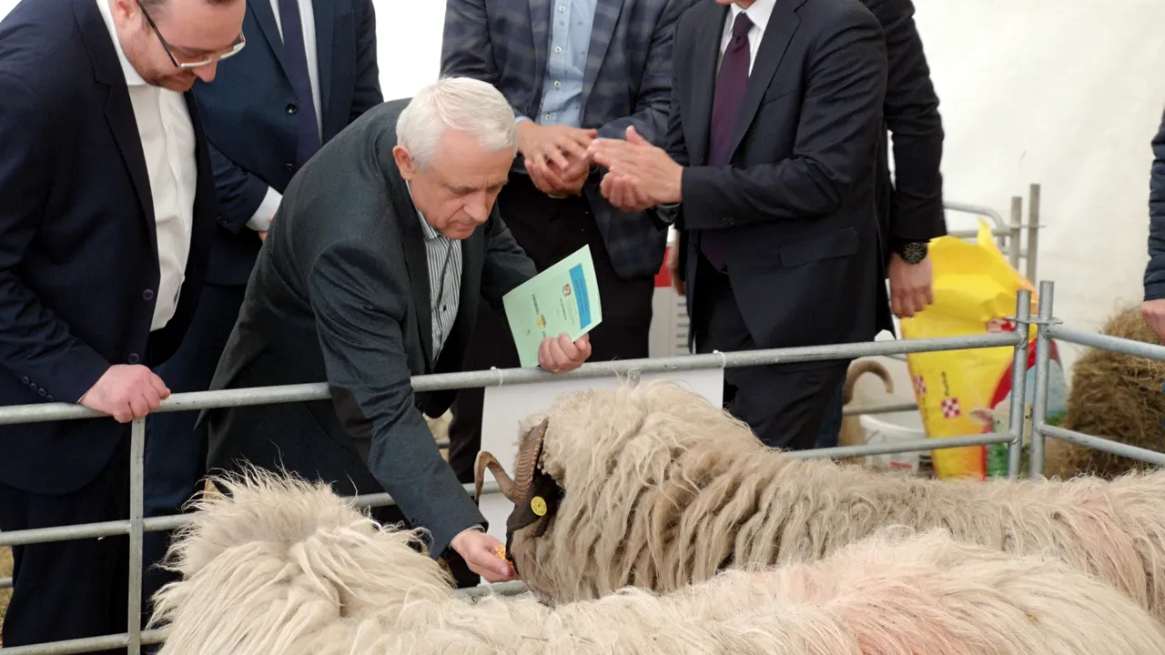 Daea vorbește despre o nevoie simplă a românului, de Paște: Fiecare om dorește să sacrifice un miel - GALERIE FOTO