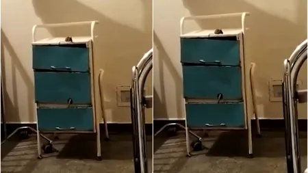 VIDEO | Șoarece filmat plimbându-se prin mobilierul din Spitalului Orășenesc Șimleu Silvanei