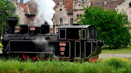 Bărbatul care a atacat cu pietre Mocănița și a spart cauciucurile unor mașini a fost reținut